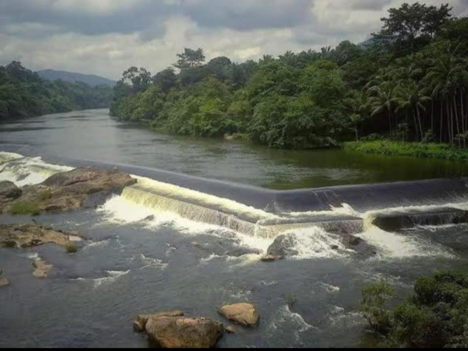Nest Resorts Athirappilly Bagian luar foto