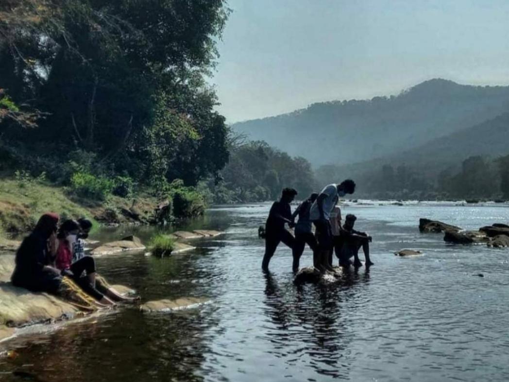 Nest Resorts Athirappilly Bagian luar foto