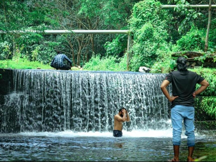 Nest Resorts Athirappilly Bagian luar foto