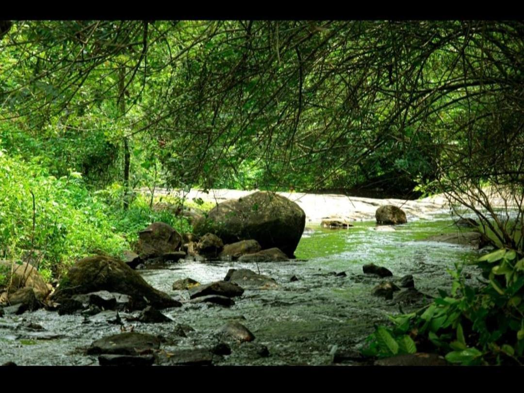 Nest Resorts Athirappilly Bagian luar foto